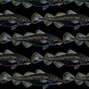 Cod fish lines on black