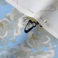Small Hummingbird Hawk Moth and fruit blossoms - sky blue