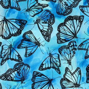 blue butterflies