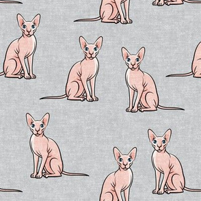 Sphynx Cats - Hairless Cats Sitting -  Grey - LAD19