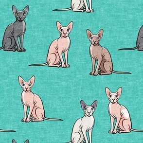Sphynx Cats - Hairless Cats Sitting -  Teal - LAD19