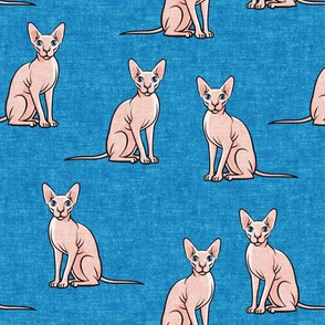 Sphynx Cats - Hairless Cats Sitting -  Blue - LAD19