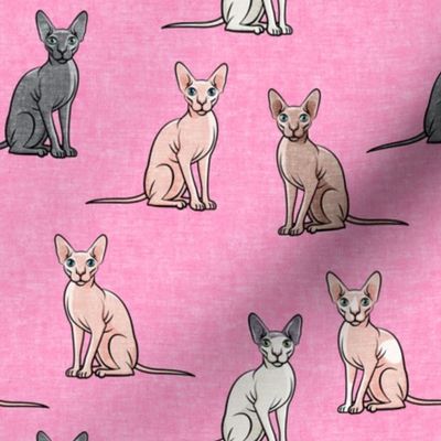 Sphynx Cats - Hairless Cats Sitting -  Multi Pink - LAD19