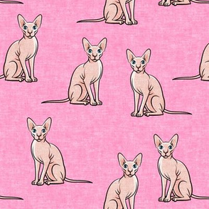 Sphynx Cats - Hairless Cats Sitting -  Pink - LAD19