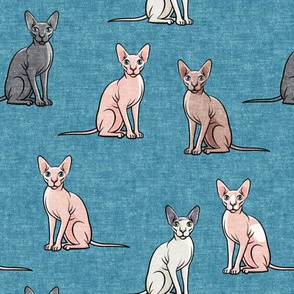 Sphynx Cats - Hairless Cats Sitting -  Multi Blue 2- LAD19