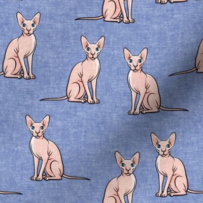 Sphynx Cats - Hairless Cats Sitting -  Peri - LAD19