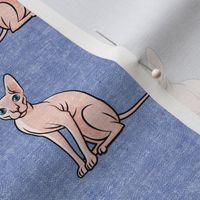 Sphynx Cats - Hairless Cats Sitting -  Peri - LAD19