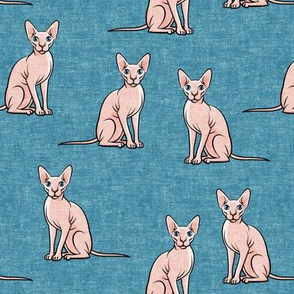 Sphynx Cats - Hairless Cats Sitting -  Blue 2 - LAD19