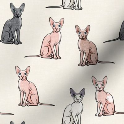 Sphynx Cats - Hairless Cats Sitting -  Multi Cream - LAD19