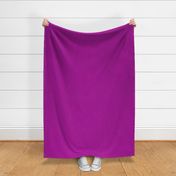Bright Fuchsia Purple Solid Fabric Coordinate
