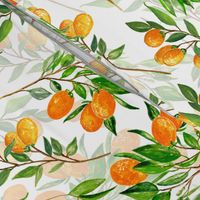 Lemonade - Summer Mediterranean Fresh hand drawn Kumquat branches on white - double layer