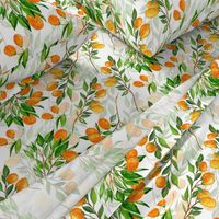  Lemonade - Summer Mediterranean Fresh hand drawn Kumquat branches on white - double layer