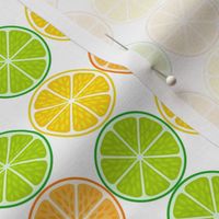 Citrus fruit slices- Clementines, Mandarins and Tangerines