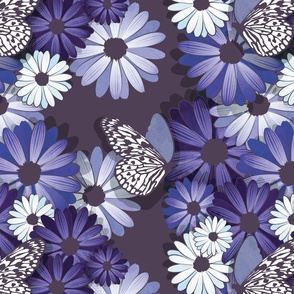 Normal scale // African Daisy Spring Floral // blue