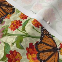 Monarchs and Lantana 