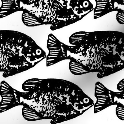 Fish - Black and White