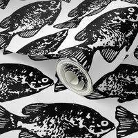 Fish - Black and White