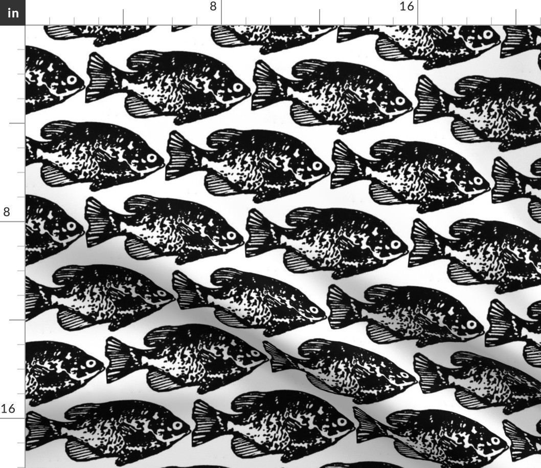 Fish - Black and White