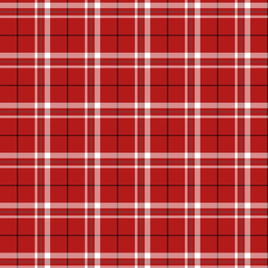 Red and White Tartan