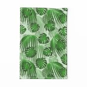 Green Monstera Palm Leaves