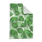 Green Monstera Palm Leaves