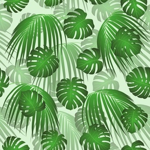 Green Monstera Palm Leaves