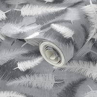 Grey Feathers