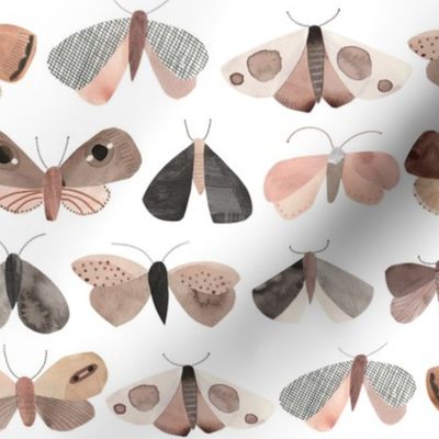 Paper moths