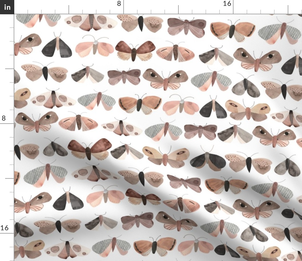 Paper moths