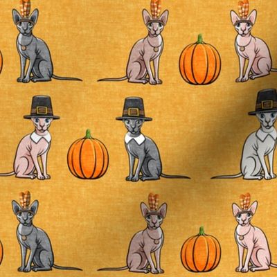 Thanksgiving Sphynx Cat  w/ pumpkin - Golden Fall - LAD19