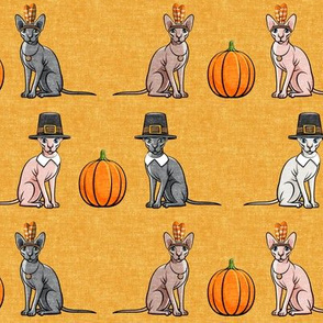 Thanksgiving Sphynx Cat  w/ pumpkin - Golden Fall - LAD19