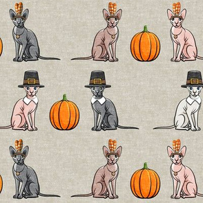 Thanksgiving Sphynx Cat w/ pumpkin - Beige - LAD19