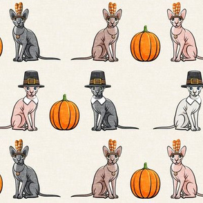 Thanksgiving  Sphynx Cat w/ pumpkin - Cream- LAD19