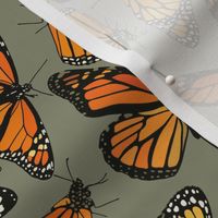 Monarchs on sage green 6”