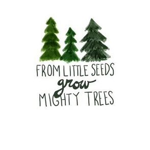 From Little Seeds