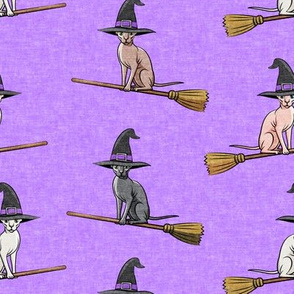 Witch Hats -  halloween sphynx - Sphynx Cats  - Purple - LAD19