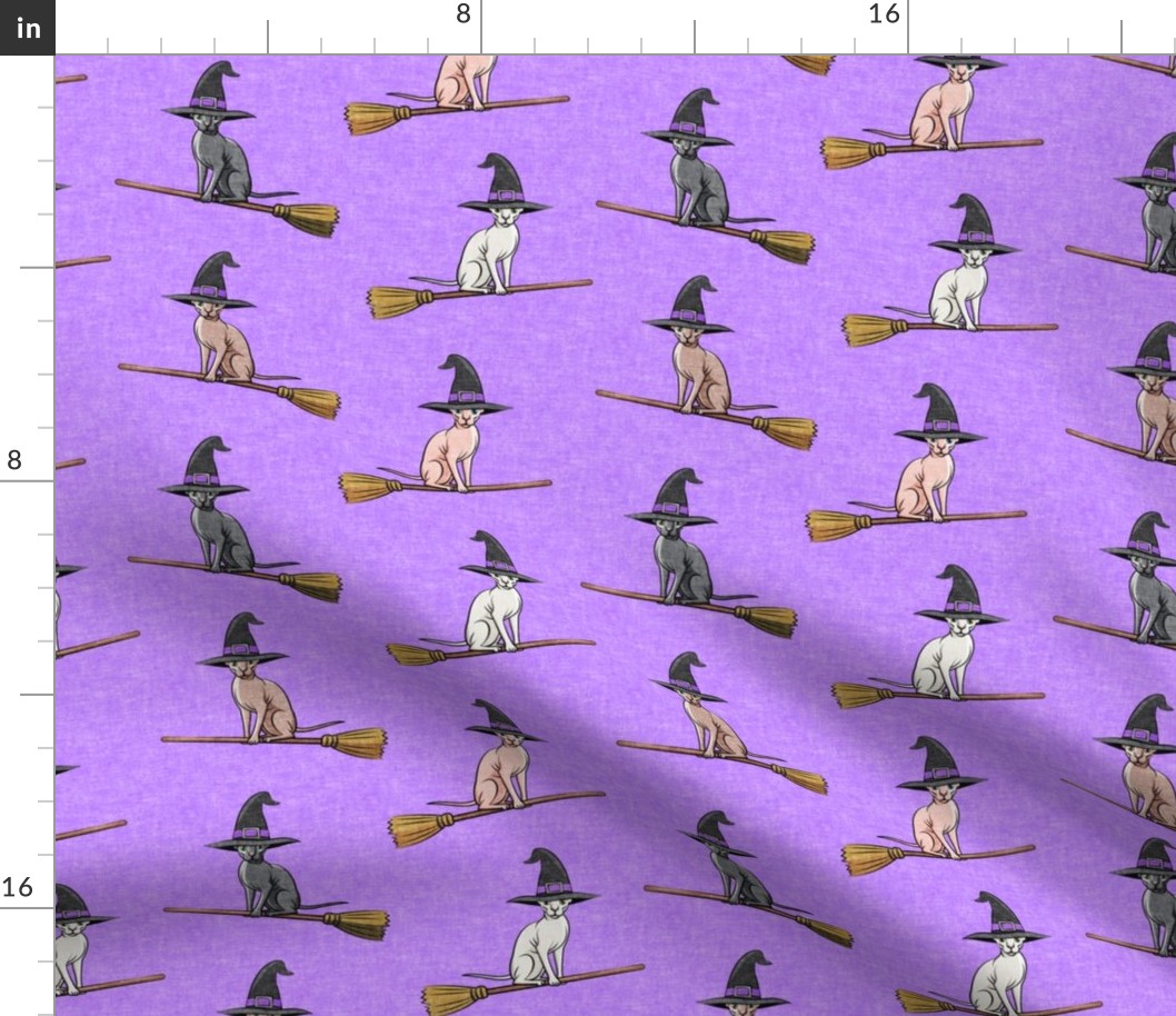 Witch Hats -  halloween sphynx - Sphynx Cats  - Purple - LAD19