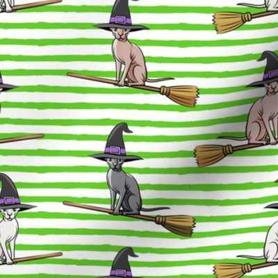 Witch Hats - halloween sphynx -  Sphynx Cats  - Green Stripes - LAD19