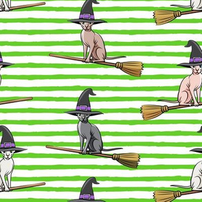 Witch Hats - halloween sphynx -  Sphynx Cats  - Green Stripes - LAD19