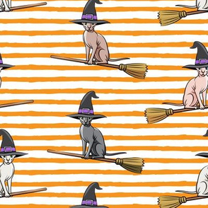 Witch Hats - halloween sphynx -  Sphynx Cats  - Orange Stripes - LAD19