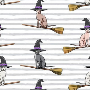Witch Hats -  halloween sphynx - Sphynx Cats  - Grey Stripes - LAD19