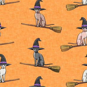 Witch Hats - halloween sphynx -  Sphynx Cats  - Orange  - LAD19