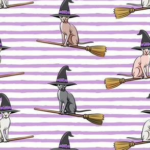 Witch Hats - halloween sphynx -   Sphynx Cats  - Purple Stripes - LAD19