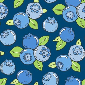 Blueberries Fruit on Dark Blue Navy