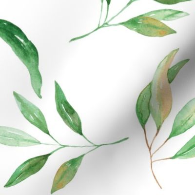 green teal tropical  leaves