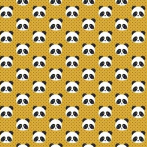 (micro scale) panda on mustard polka dots C19BS