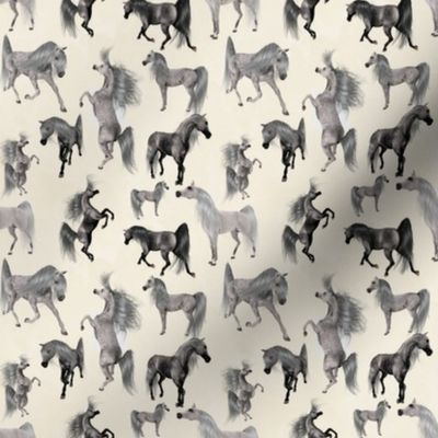 Arabian Horse Mixed - Gray Horses with Cream Background