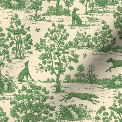 Green Light Antique Greyhound Toile 