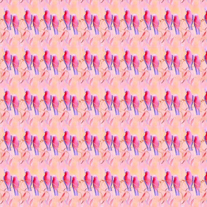 Galahs on pink background 