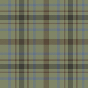 MacDonagh tartan - 10" faded